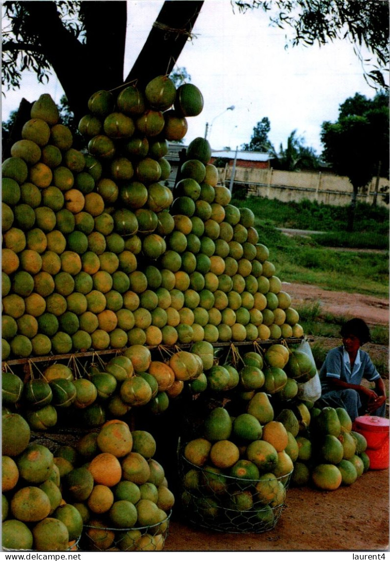 (2 Q 39) Vietnam (Posted To FRance 1995) Vendeuse De Pamplemousse / Pomalo Seler - Marchands