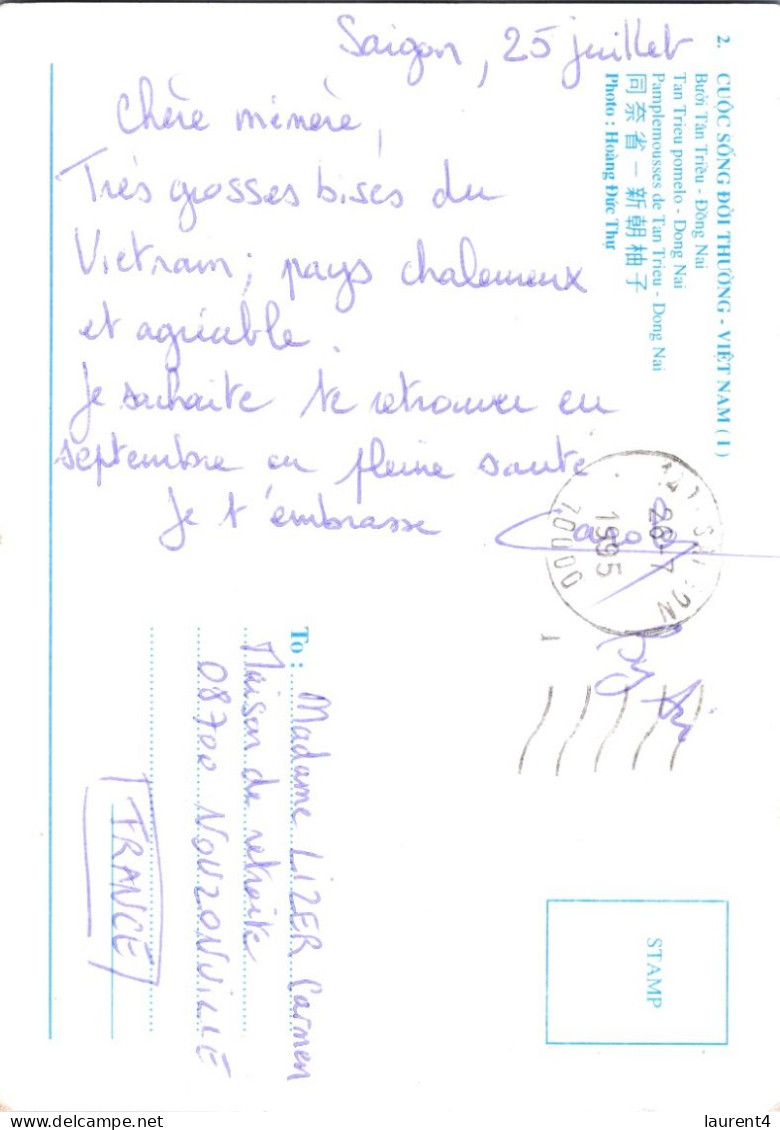 (2 Q 39) Vietnam (Posted To FRance 1995) Vendeuse De Pamplemousse / Pomalo Seler - Marchands