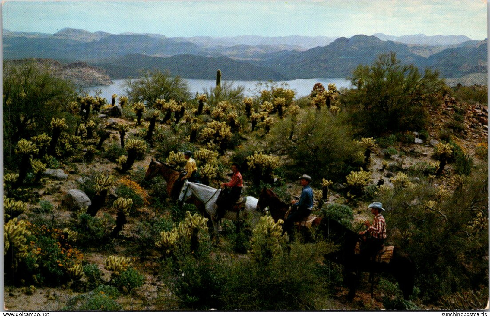 Arizona Mesa Sahuaro Lake Ranch Horseback Riders - Mesa