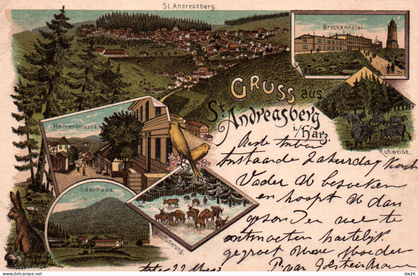 Gruss Aus St Andreasberg - Lithographie 1901 - Brockenhotel, Oderhaus, Herrenstrasse, Wildfütterung - St. Andreasberg