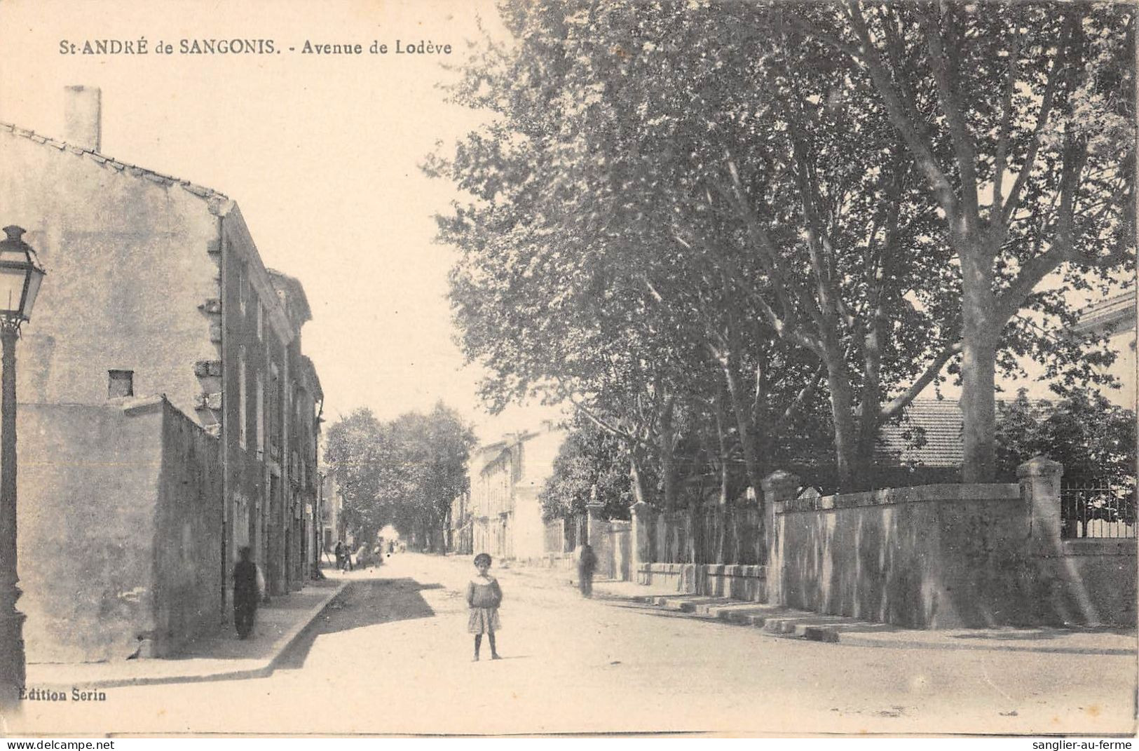 CPA 34 SAINT ANDRE DE SANGONIS L'AVENUE DE LODEVE - Sonstige & Ohne Zuordnung