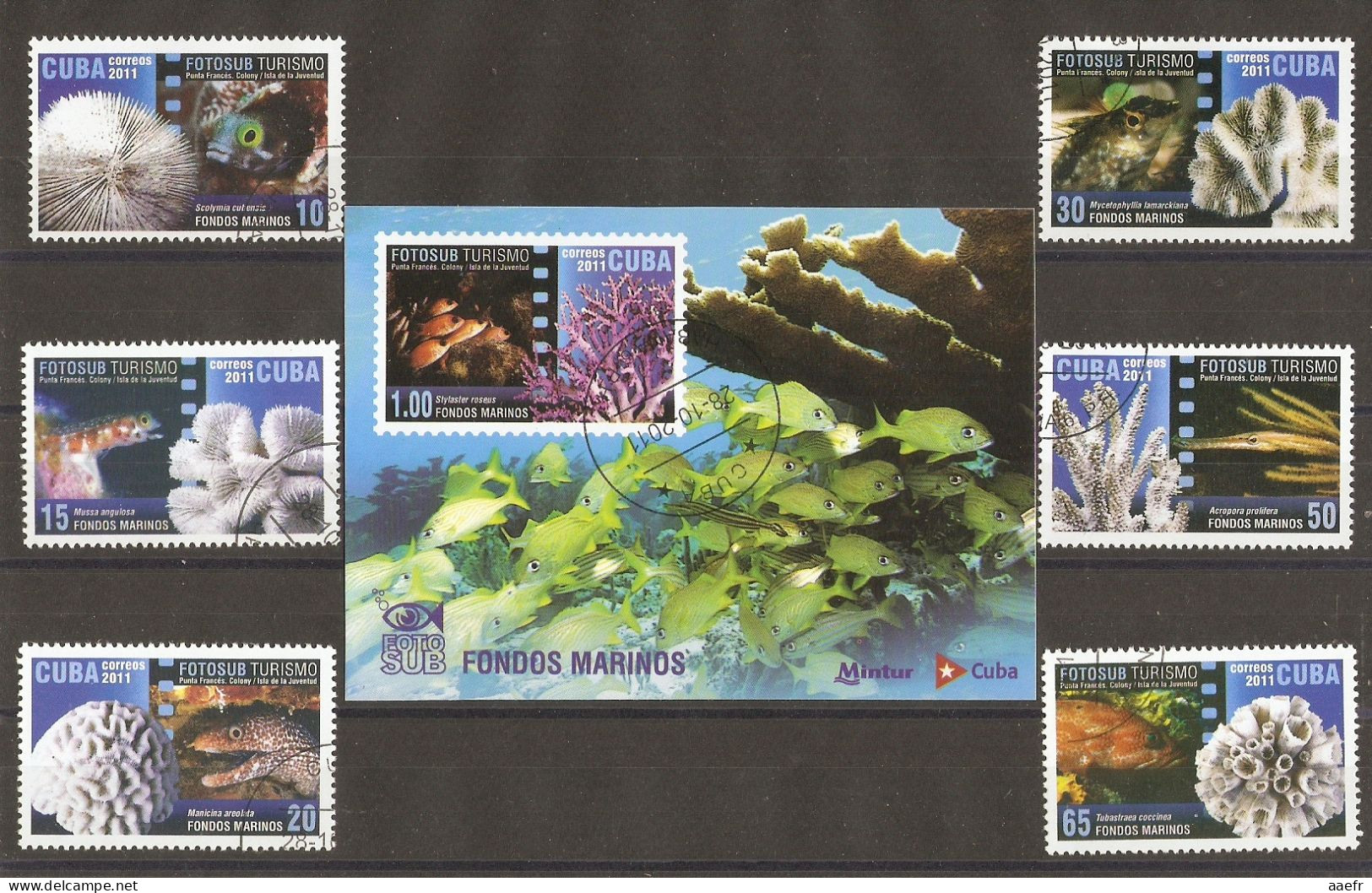 Cuba 2011 - Fonds Marins - YT5000/5 +  BF285° - Corail, Coraux - Punta Frances Colony  - Isla De La Juventud - Used Stamps