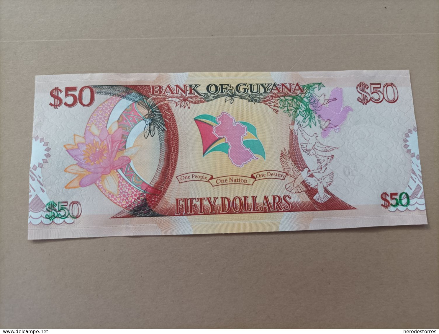 Billete De Guyana De 50 Dólares, Año 2016, UNC - Guyana