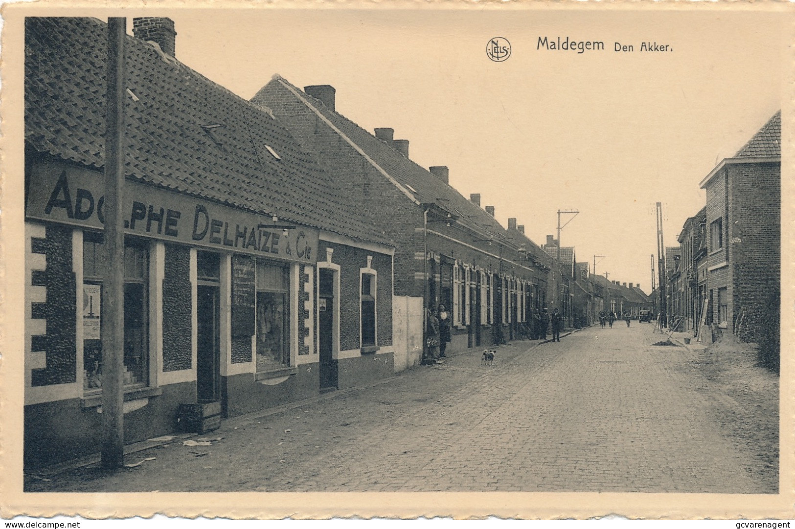 MALDEGEM  DEN AKKER         2 AFBEELDINGEN - Maldegem