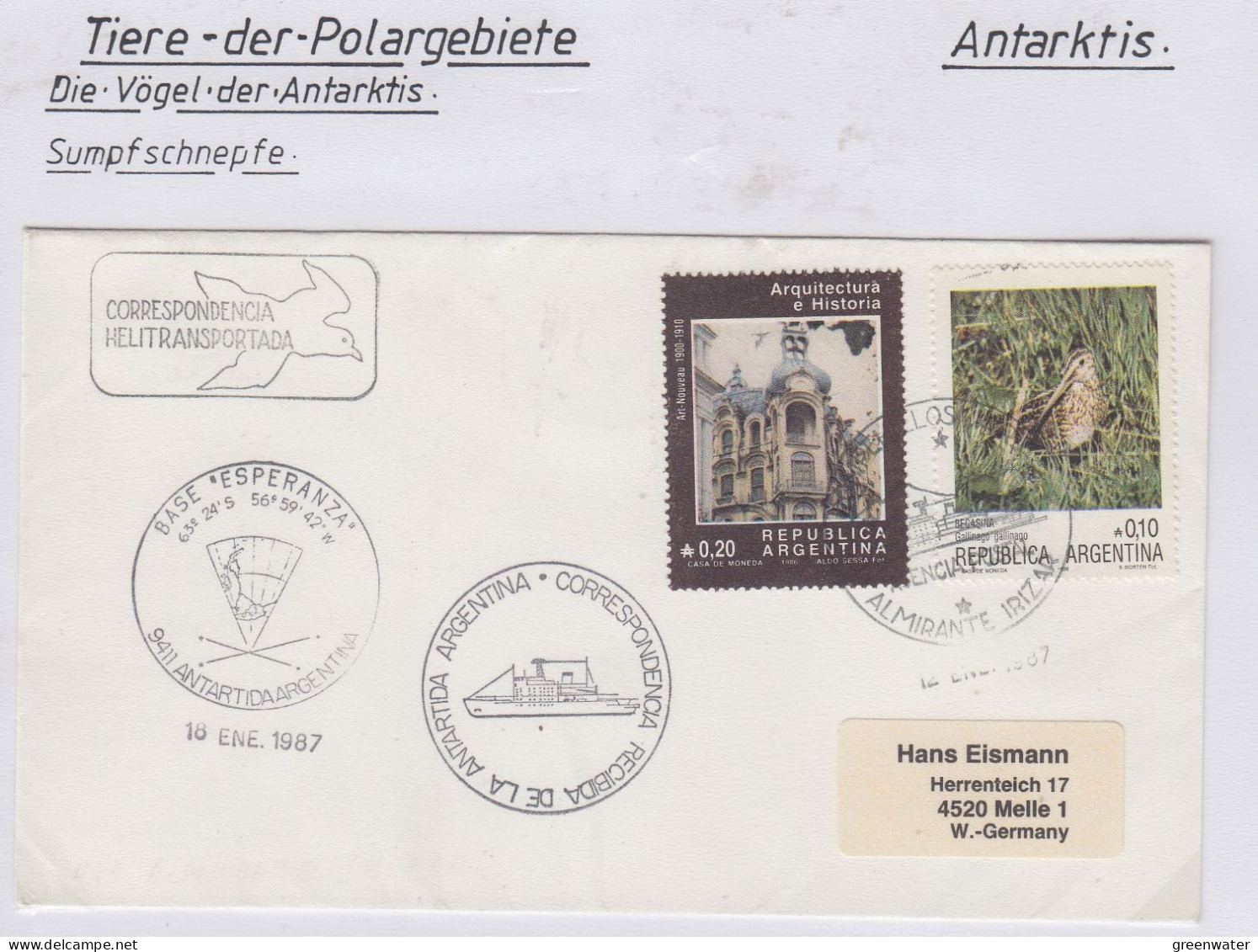 Argentina Vögel "Sumpfschnepfe" Ca Base Esperanza Ca Base Irizar  12 ENE 1987 ( (XA184A) - Antarctische Fauna