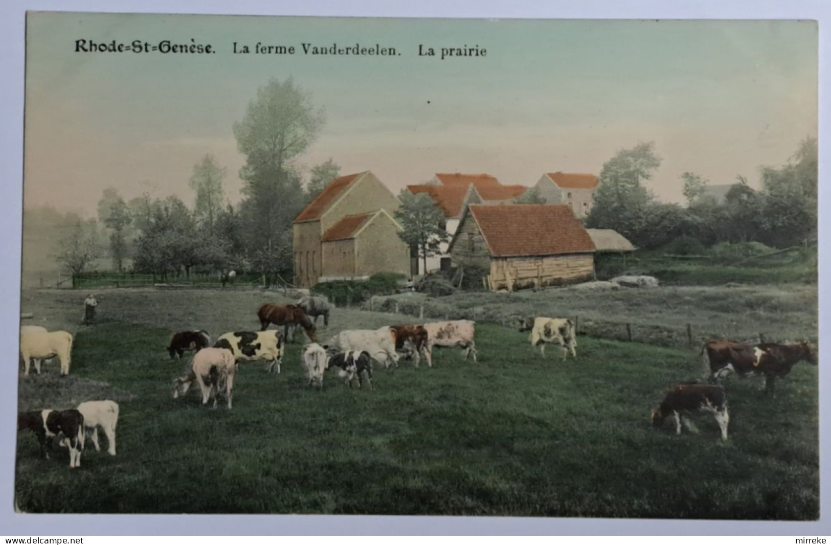 @J@  -  RHODE-ST.-GENESE  -  La Ferme Vanderdeelen / La Prairie   -  Zie / Voir Scan's - St-Genesius-Rode