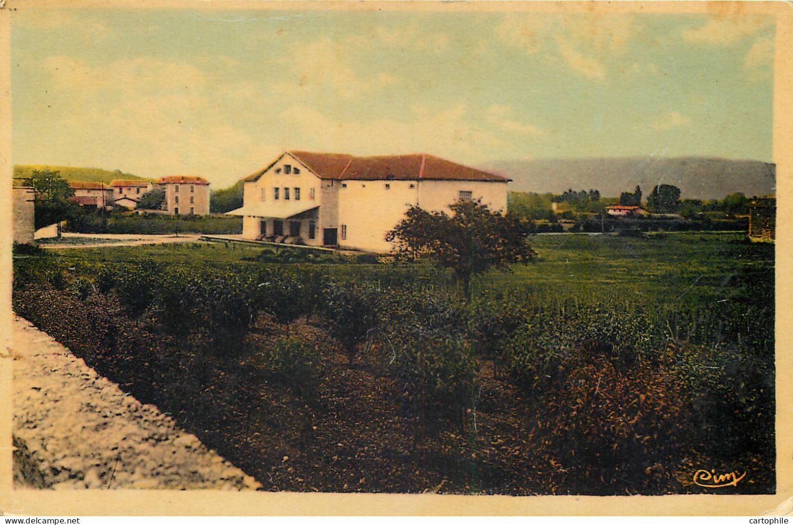 38 - CHANAS - Cave Coopérative En 1945 - Chanas