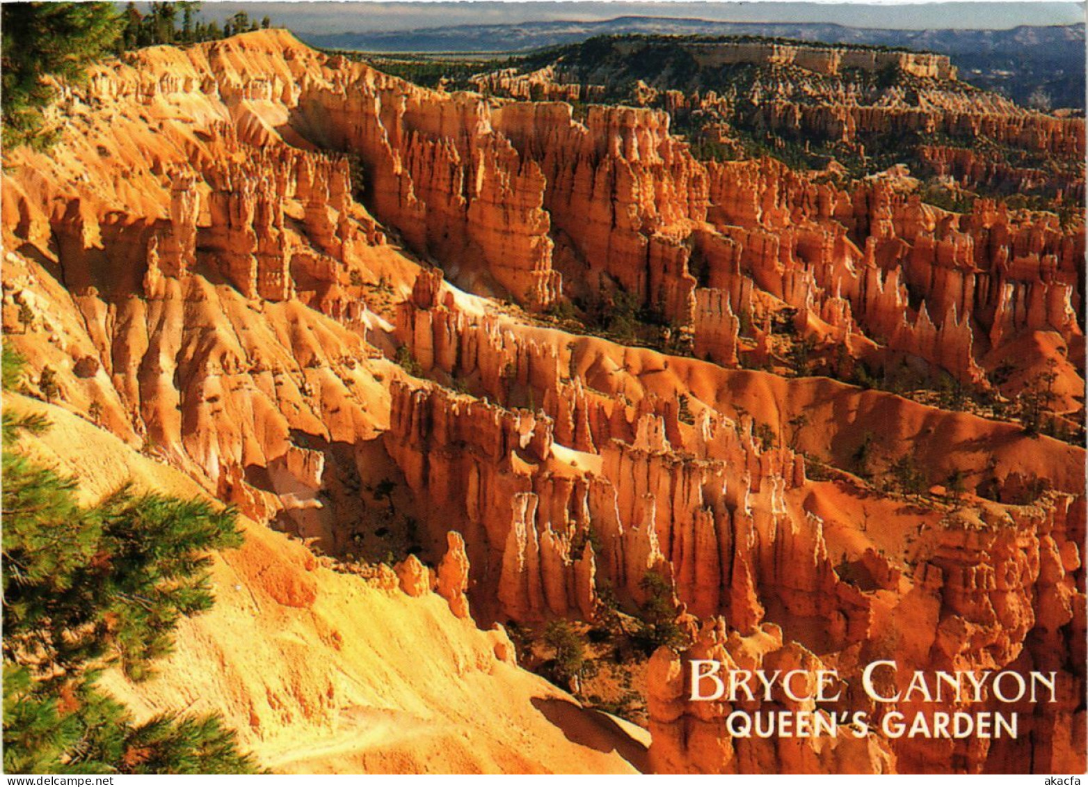 CPM Utah – Bryce Canyon – Queen's Garden USA (850467) - Bryce Canyon