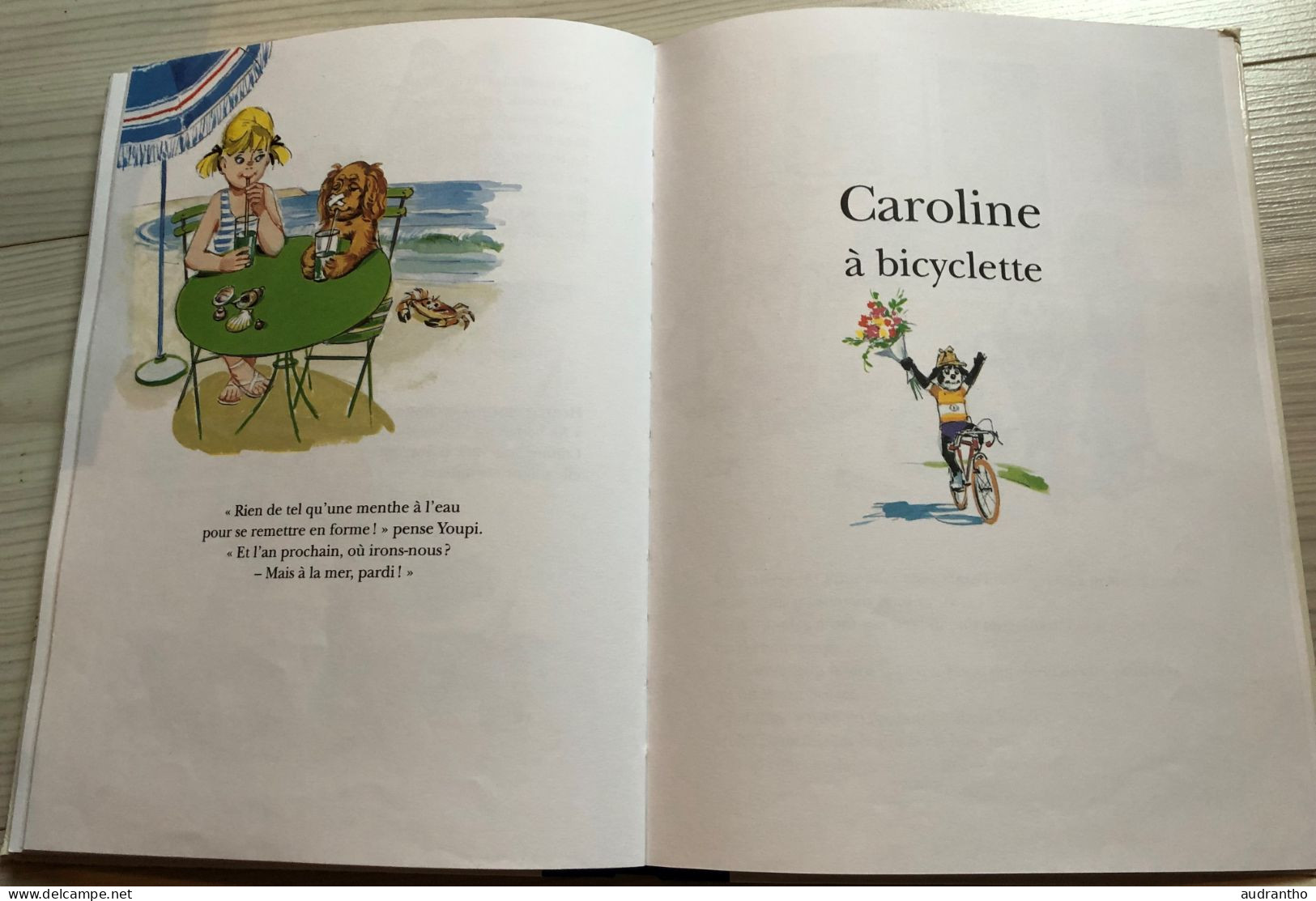 livre Les amis de Caroline Pierre Probst Hachette junior 1997