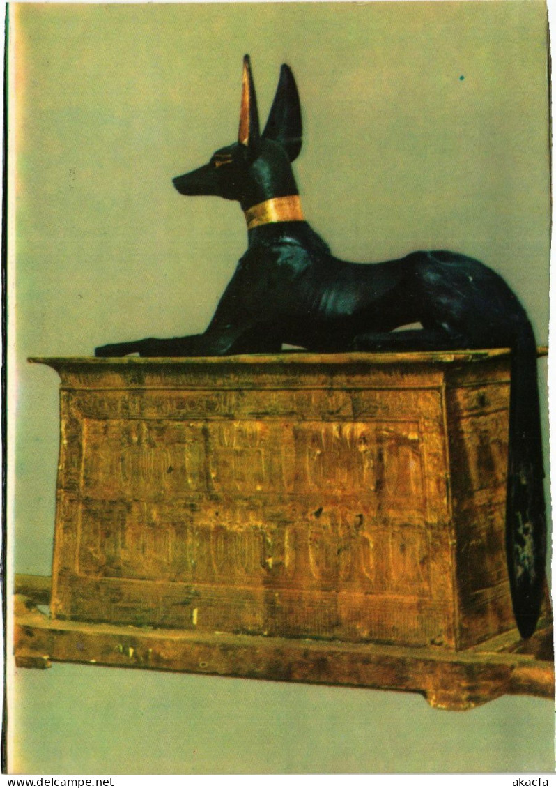 CPM Cairo – The Egyptian Museum – Carrying Chest – God Anubis EGYPT (852555) - Museen