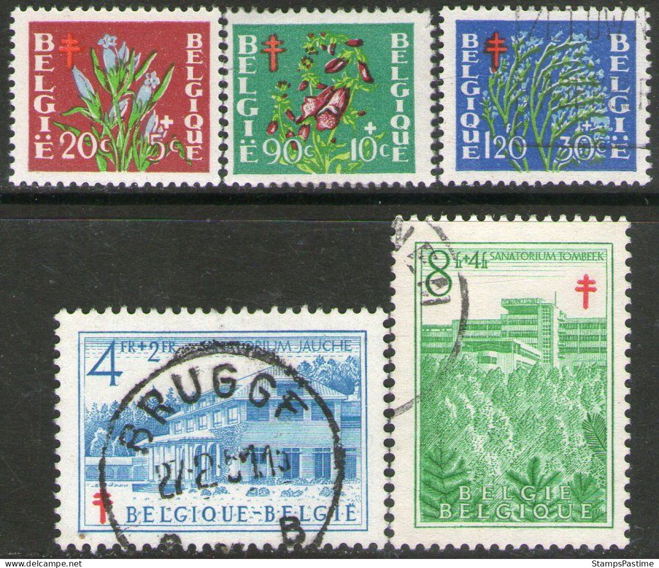 BÉLGICA – BELGIUM Serie X 5 Sellos SOBRETASA PARA LA TUBERCULOSIS Año 1950 – Valorizada En Catálogo € 33,90 - Otros & Sin Clasificación