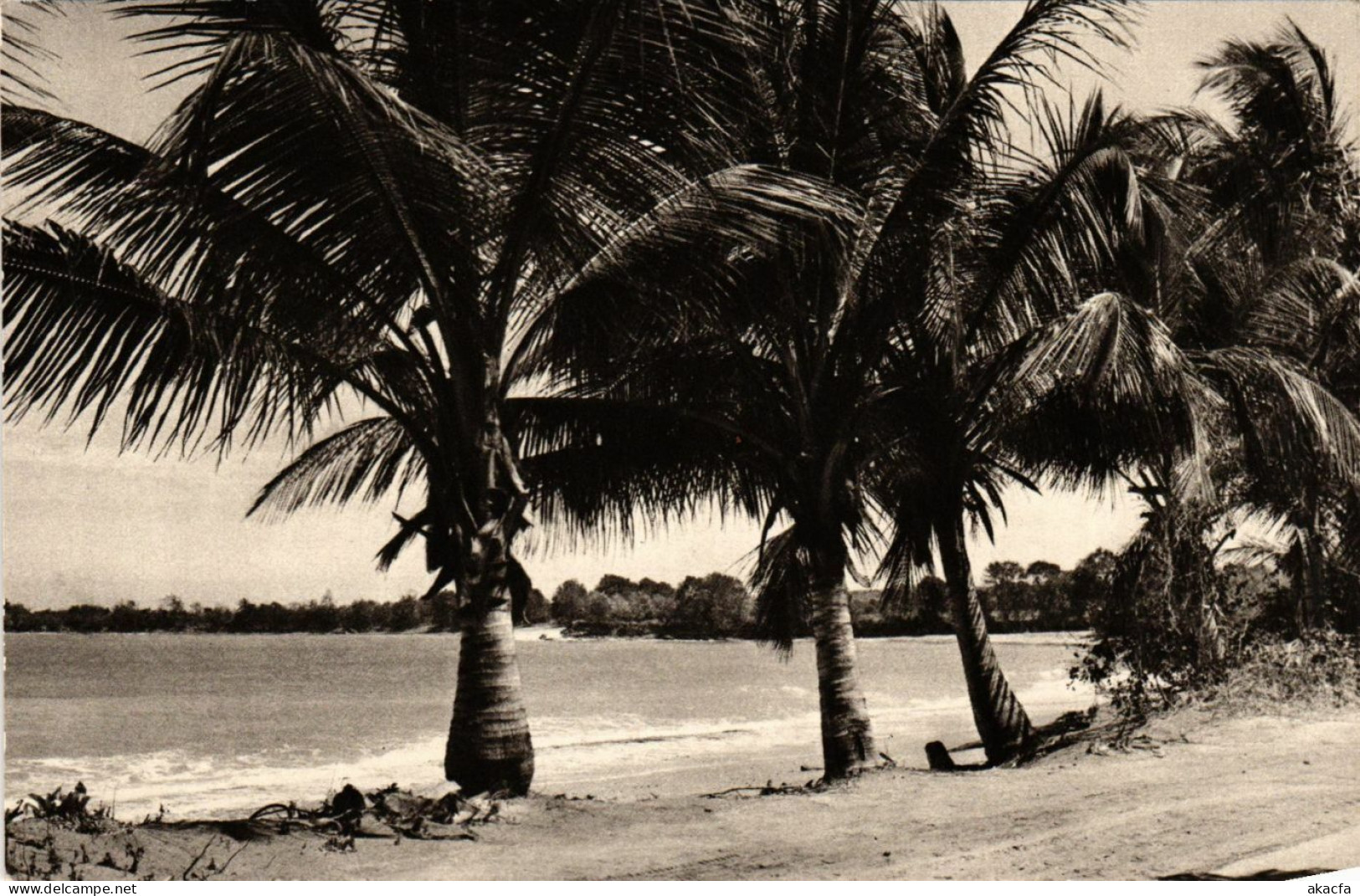 CPM Sainte Rose- La Plage De Cluny GUADELOUPE (839608) - Autres & Non Classés