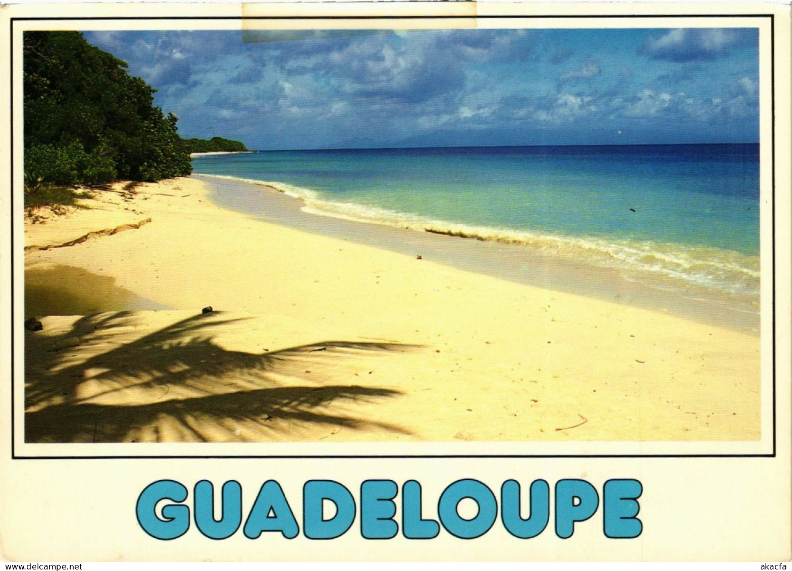 CPM Real Photo On Postcard GUADELOUPE (839801) - Autres & Non Classés