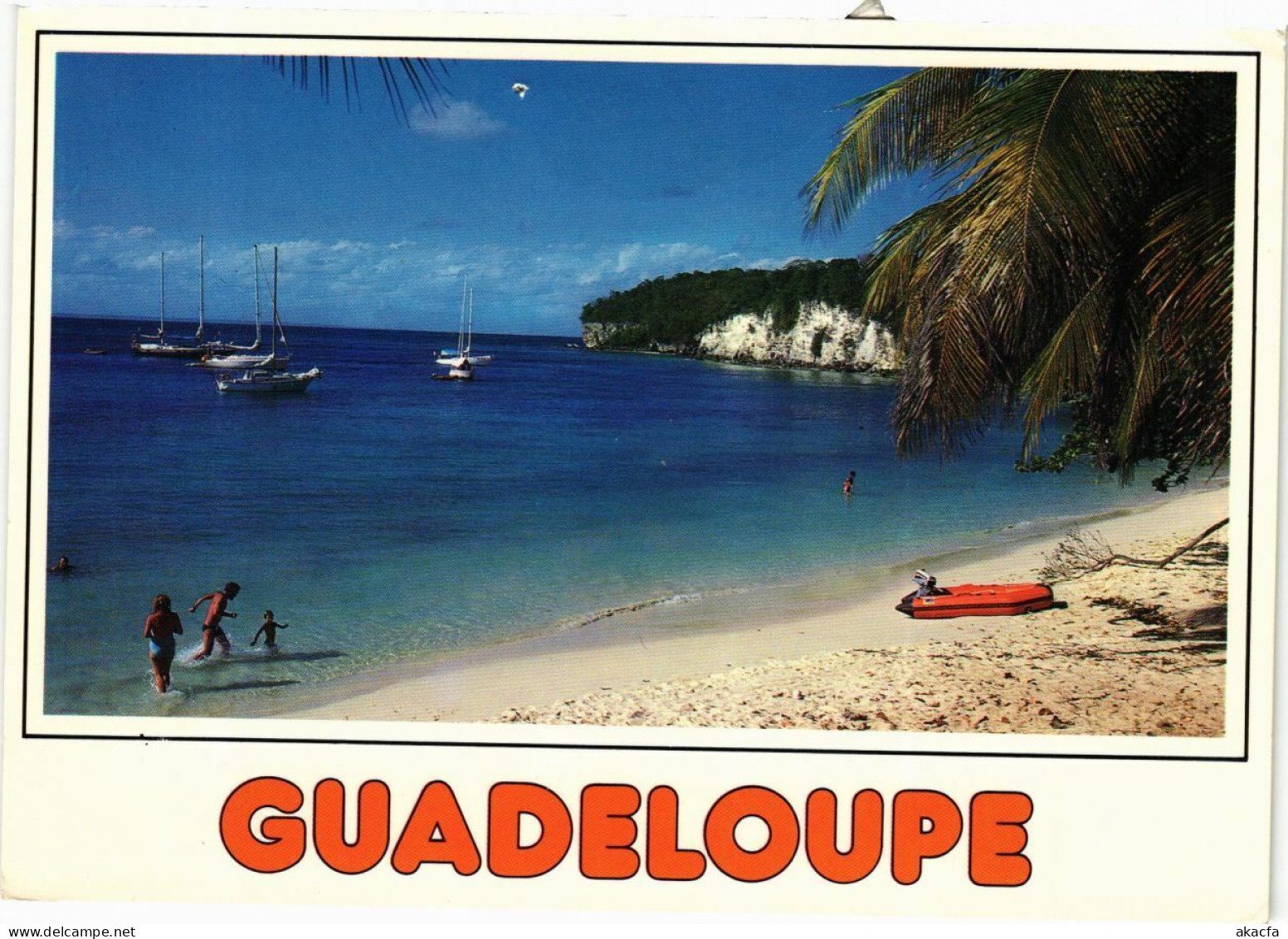 CPM Real Photo On Postcard GUADELOUPE (839724) - Autres & Non Classés