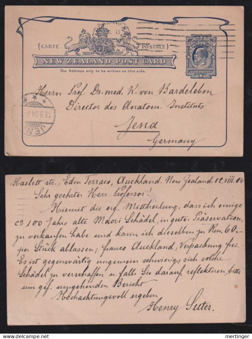 New Zealand 1904 Stationery Postcard 1P AUCKLAND X JENA Germany - Briefe U. Dokumente