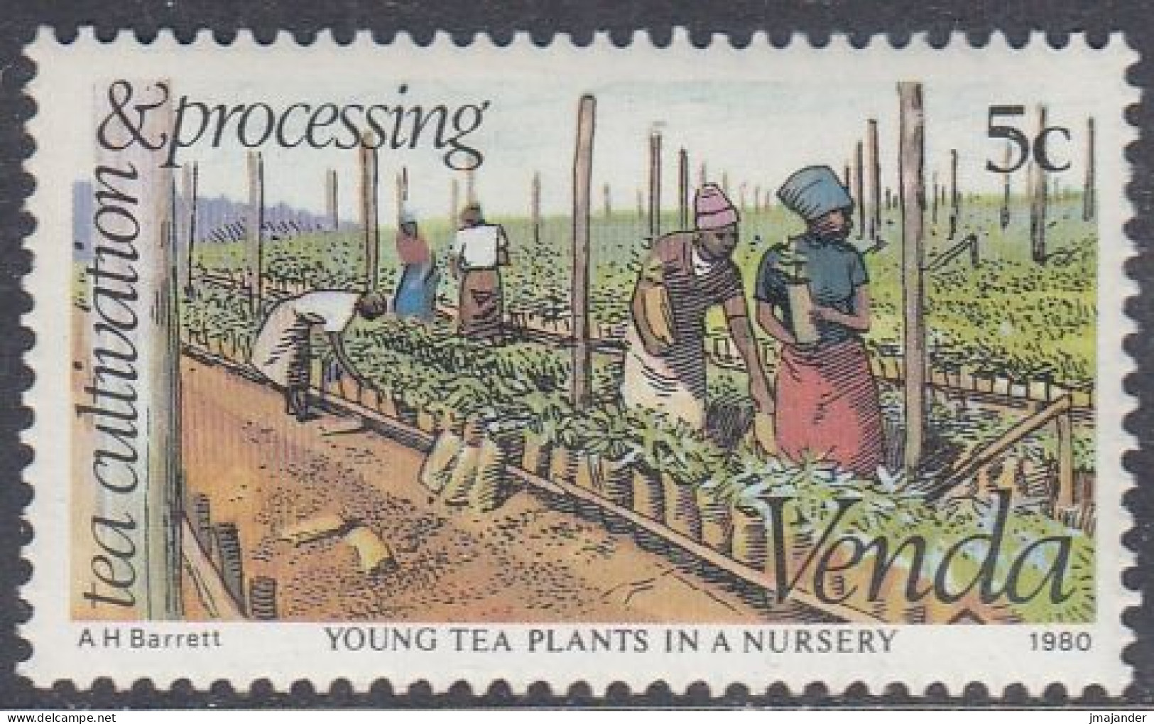 Venda 1980 - Tea Cultivation And Processing: Young Tea Plants In A Nursery - Mi 26 ** MNH [1691] - Agriculture