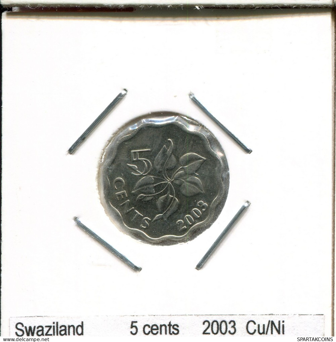 5 CENTS 2003 SWASILAND SWAZILAND Münze #AS317.D - Swaziland