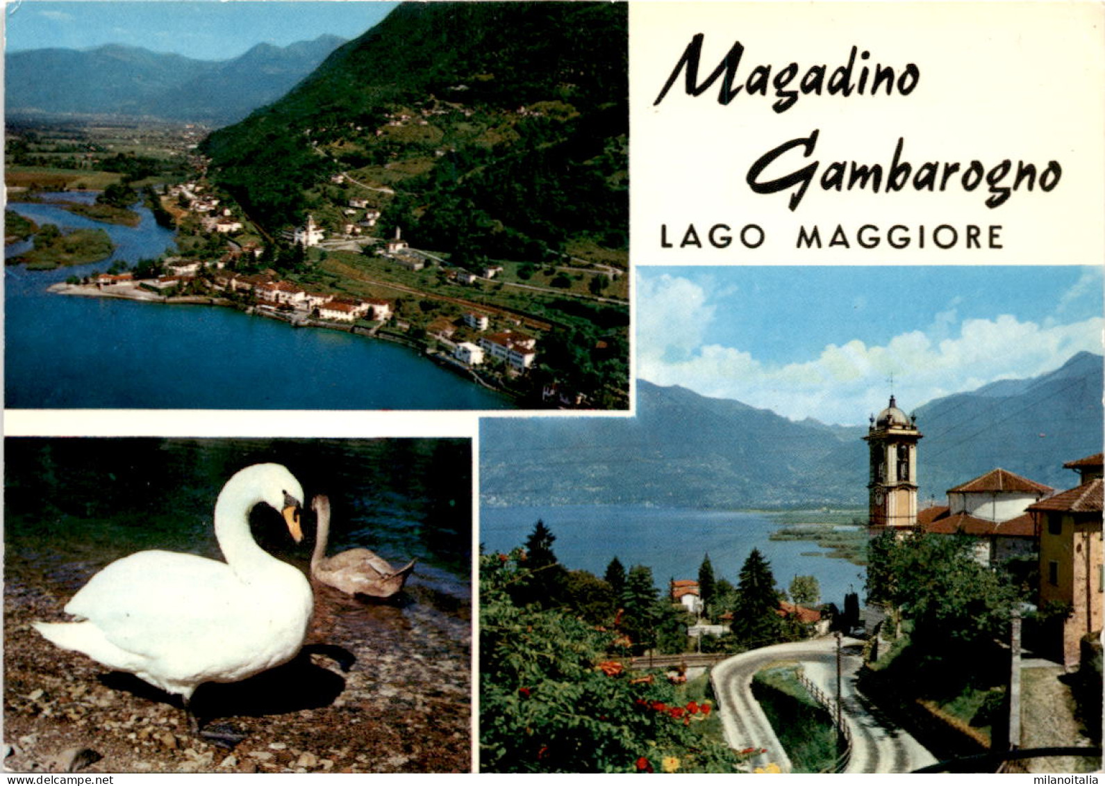 Magadino Gambarogno - Lago Maggiore - 3 Bilder (51-030) - Gambarogno