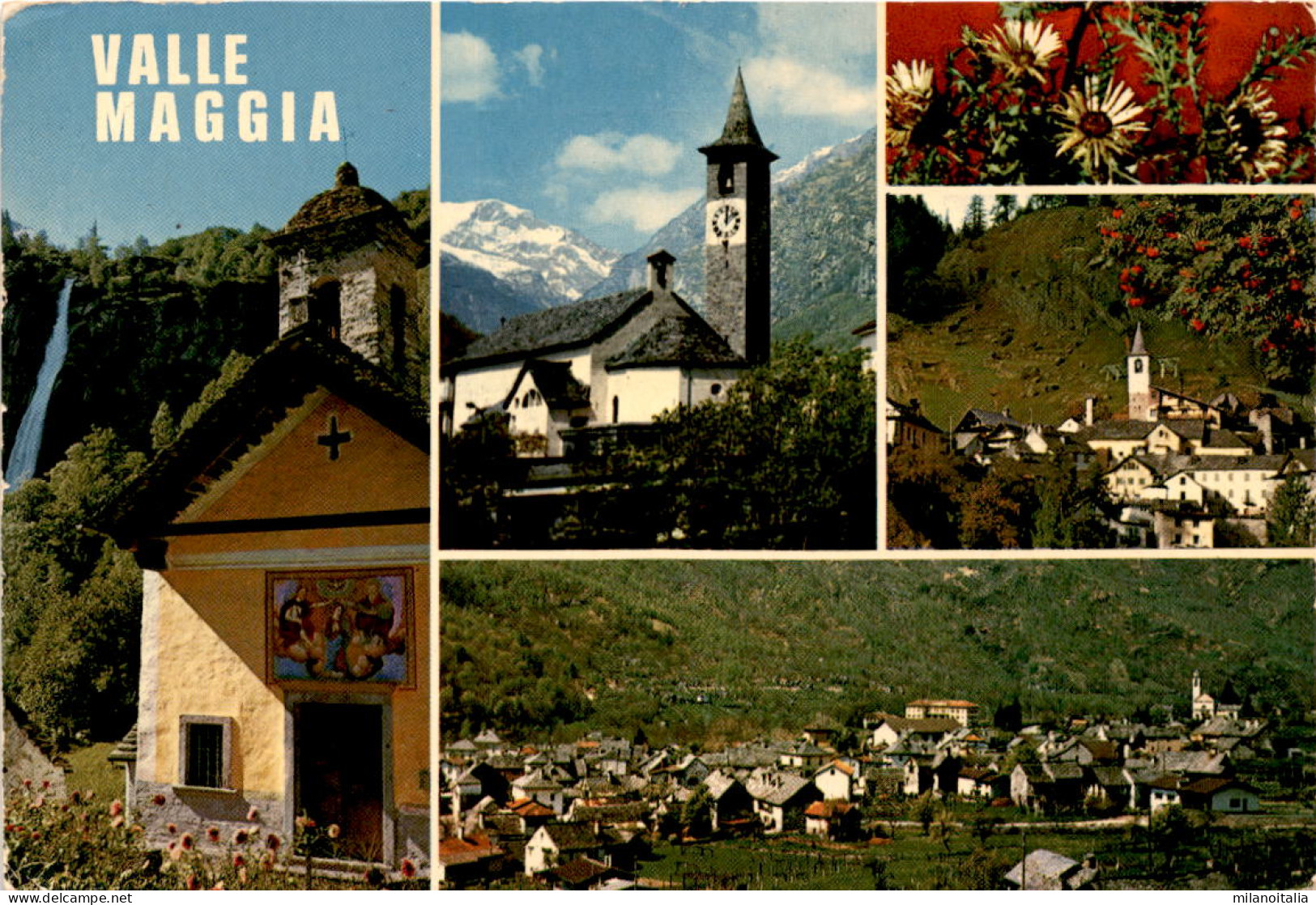 Valle Maggia - 5 Bilder (1124) * 24. 7. 1981 - Maggia