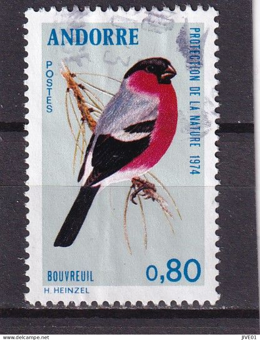 ANDORRE OBLITERES 1974 : Y/T  N° 241 BOUVREUIL - Used Stamps