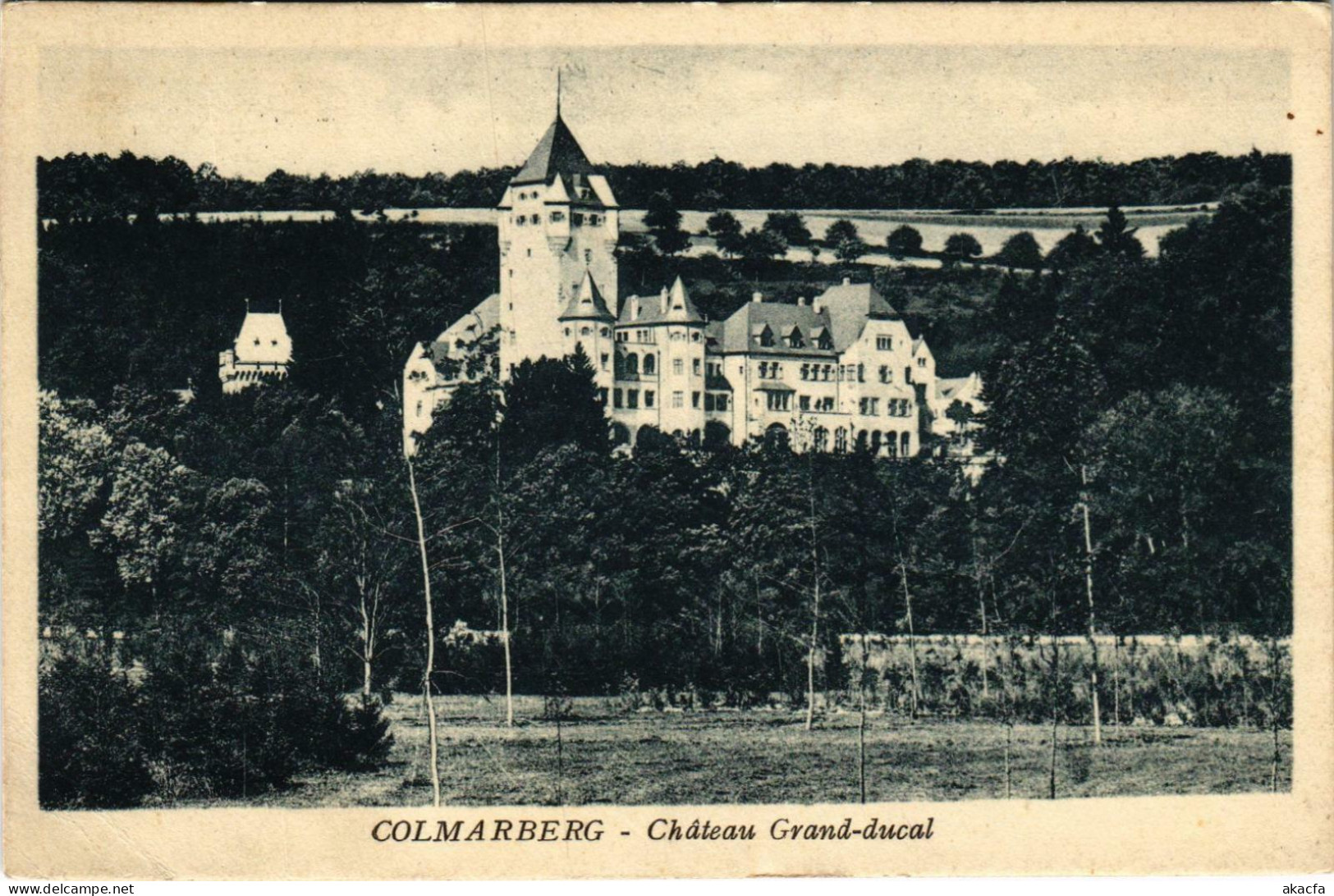 CPA AK Colmarberg Chateau Grand-ducal LUXEMBURG (803637) - Colmar – Berg