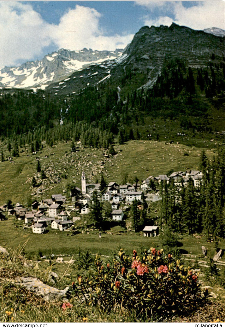 Bosco-Gurin - Das Walserdorf Im Tessin - Bosco/Gurin