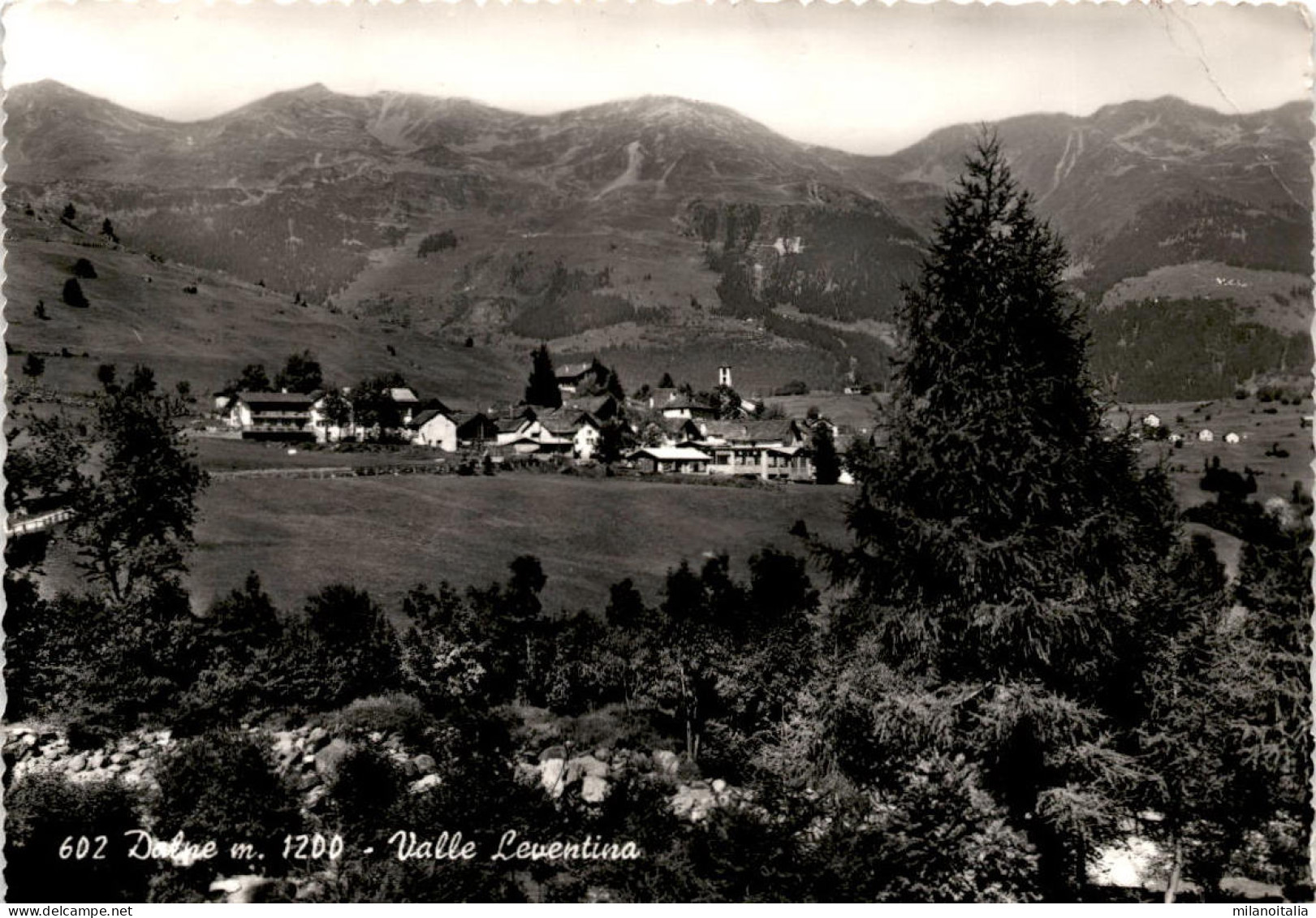 Dalpe M. 1200 - Valle Leventina (602) * 1. 6. 1962 - Dalpe