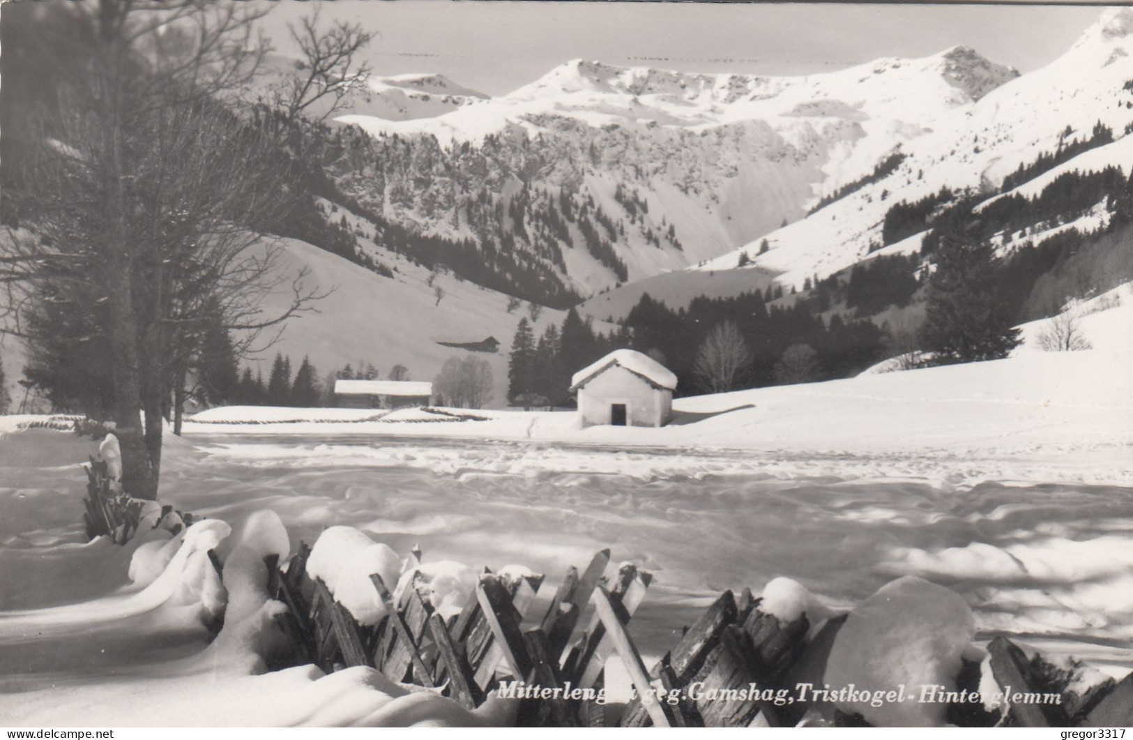 C7808) MITTERLENGAU Geg. Gamshag Tristkogel - HINTERGLEMM - Stark Verschneit ALT Gel. Saalbach - Saalbach