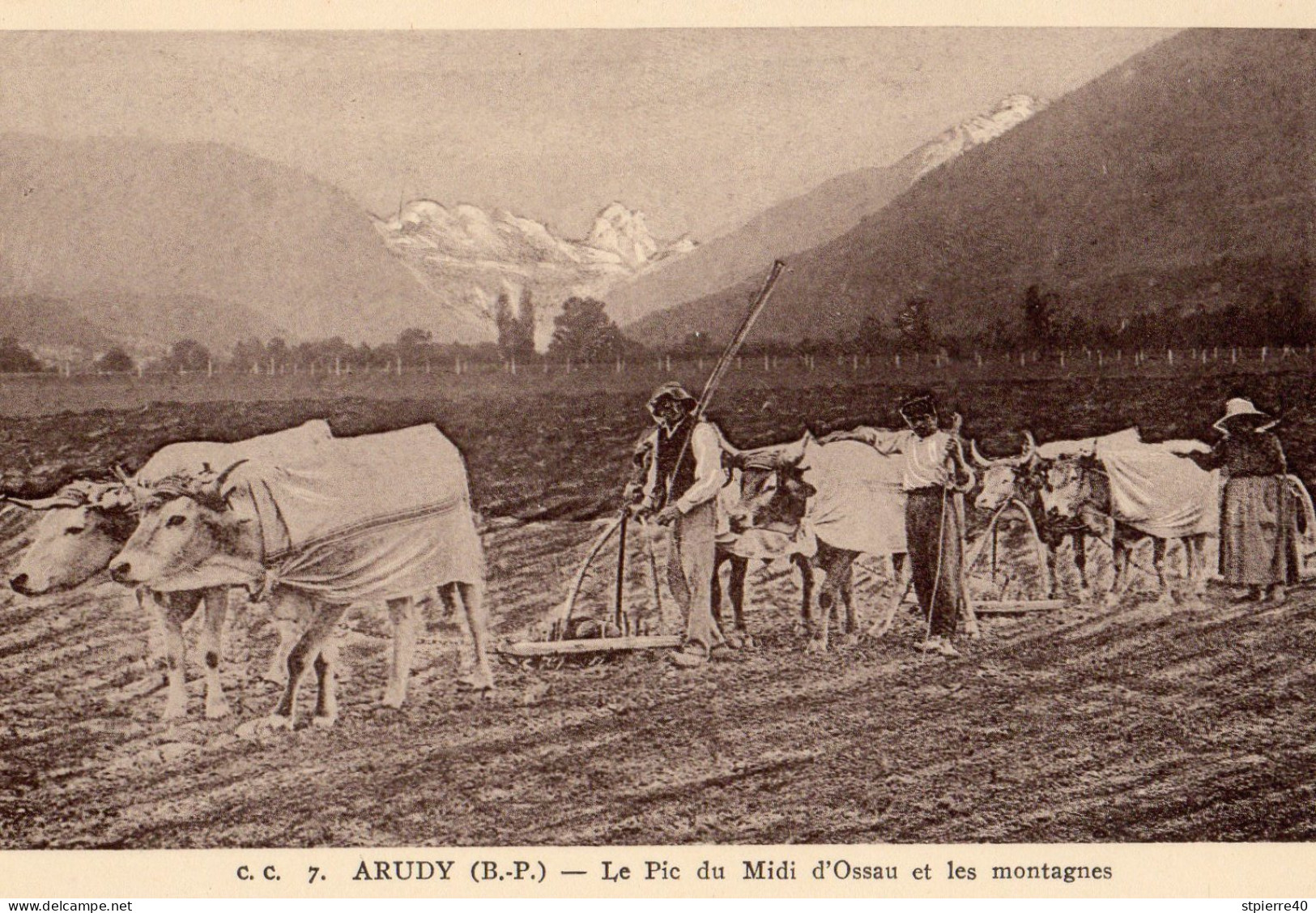 ARUDY - Le Pic Du Midi D'Ossau Et Les Montagnes (attelages) - Arudy