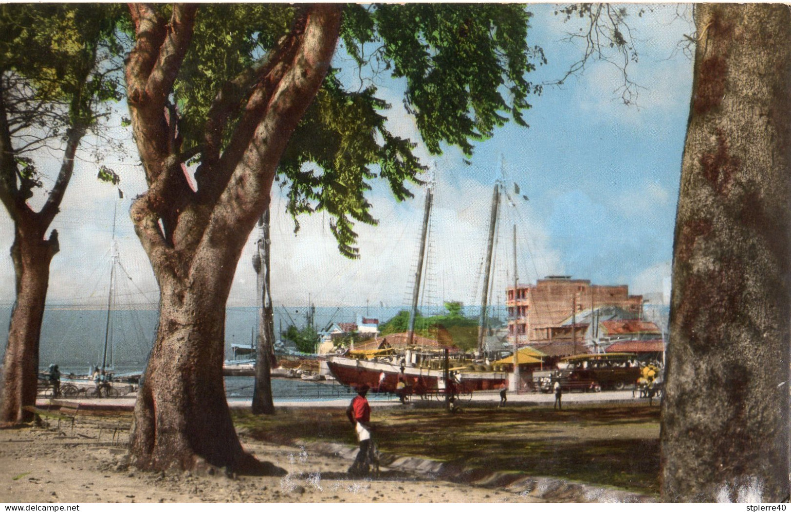 Guadeloupe - PONTE-A-PITRE - Un Coin De La Darse Vu à Travers Les Arbres De La Place - Pointe A Pitre