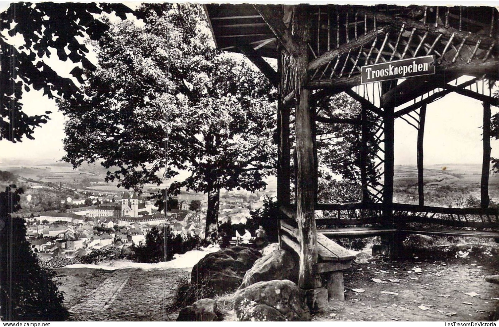 LUXEMBOURG - Echternach - Petite Suisse Luxembourgeoise - Vue Prise Du Troosknepchen - Carte Postale Ancienne - Echternach