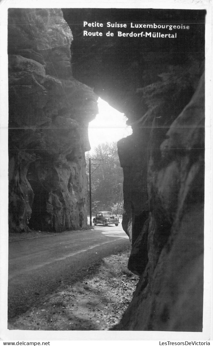 LUXEMBOURG - Petite Suisse Luxembourgeoise - Route De Berdorf-Mullertal - Carte Postale Ancienne - Müllerthal