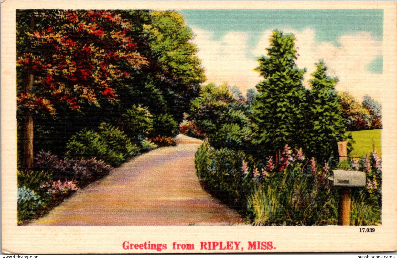 Mississippi Greetings From Ripley  - Autres & Non Classés