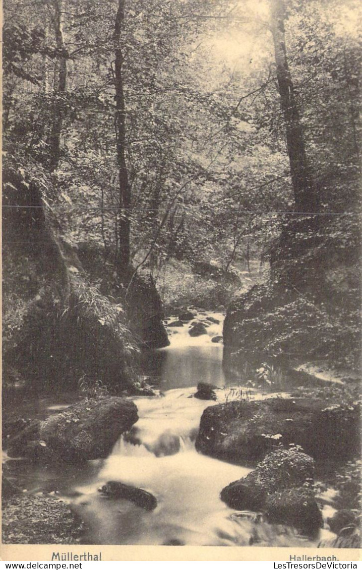 LUXEMBOURG - Mullerthal - Hallerbach - Carte Postale Ancienne - Müllerthal