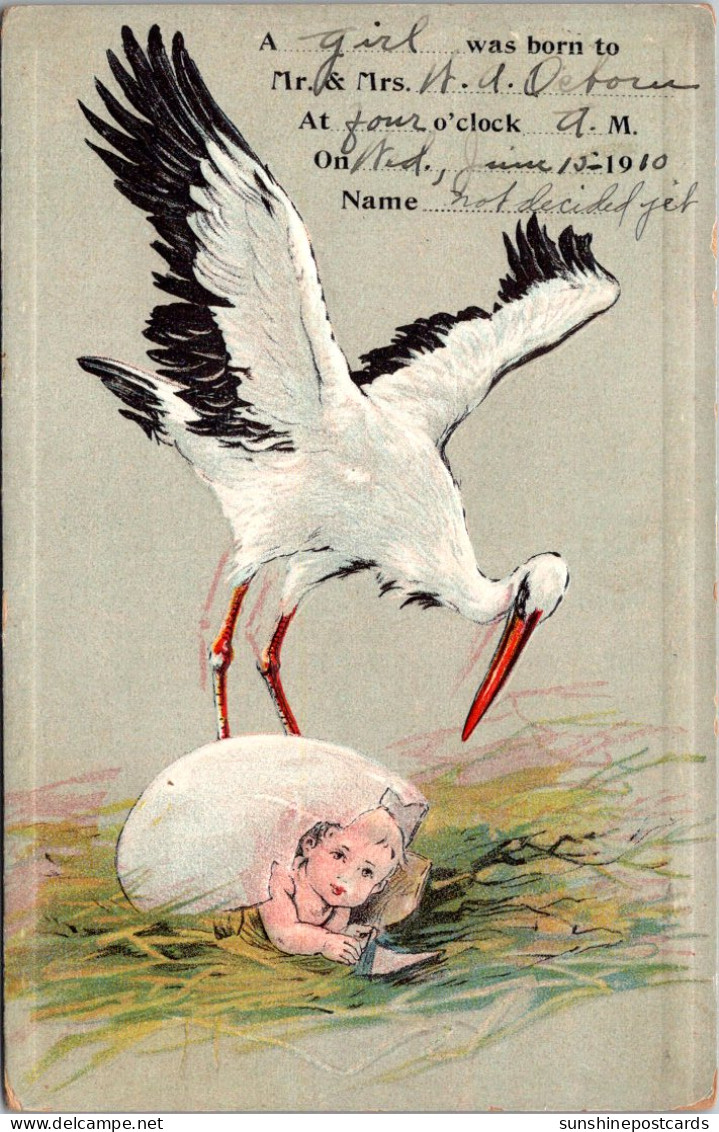 Birth Stork With Baby 1910 - Naissance