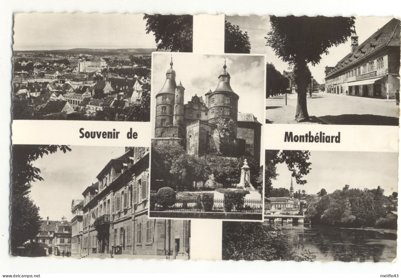 25/ CPSM - Souvenir De Montbéliard - Montbéliard