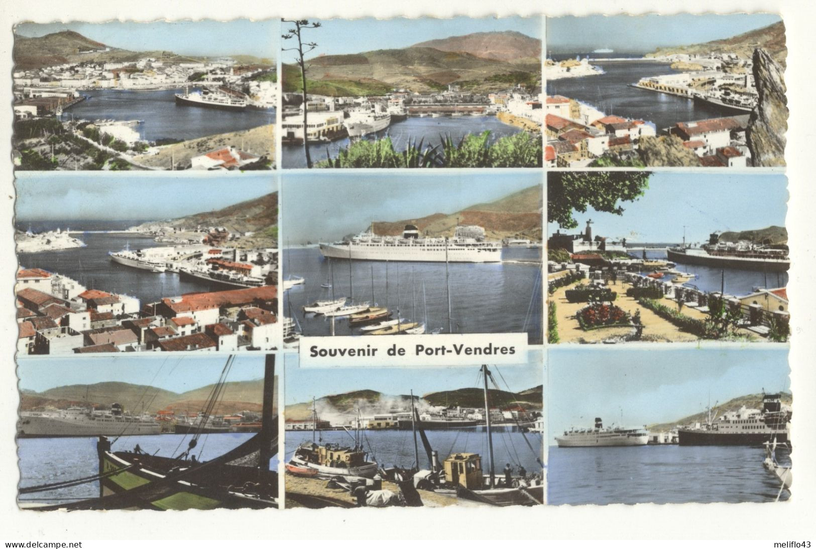 66/ CPSM - Souvenir De Port Vendres - Port Vendres