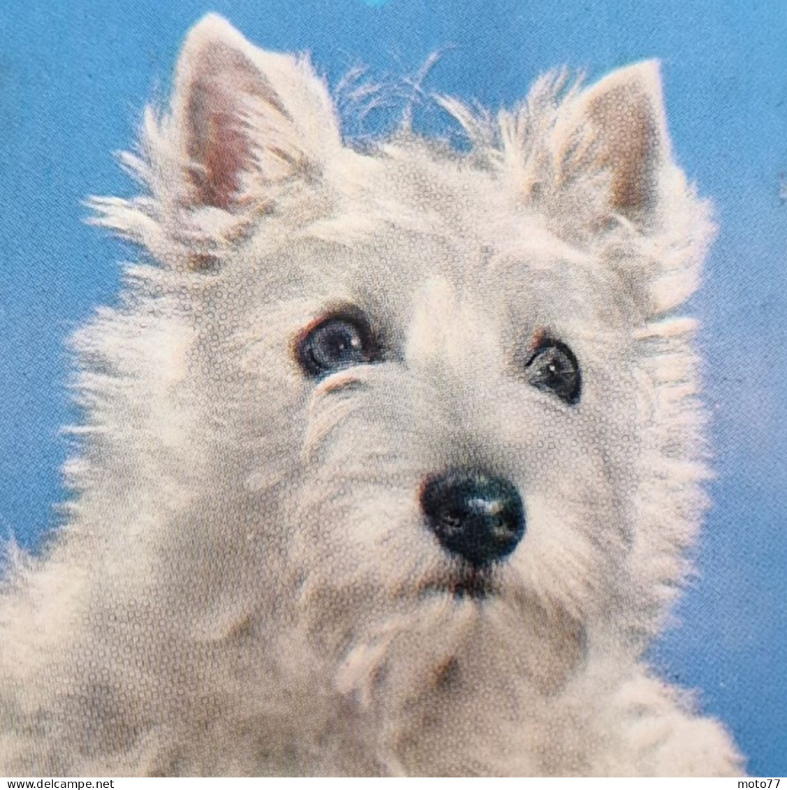 CP Carte Postale à SYSTÈME "Allain" - MUSICALE - 2 CHIENS - 1966 - A Systèmes