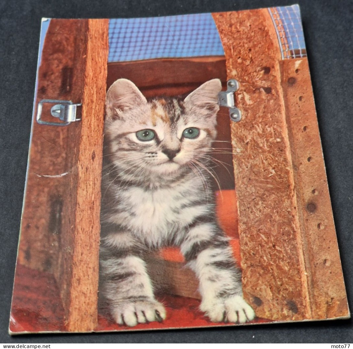 CP Carte Postale à SYSTÈME "Allain" - MUSICALE - CHAT - Vers 1966 - A Systèmes