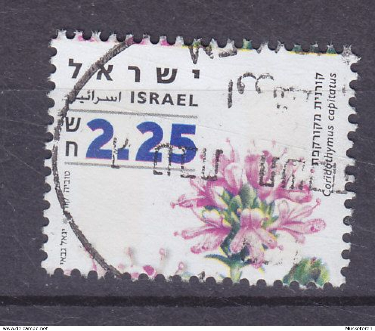 Israel 2007 Mi. 1947,  2.25 NIS Flower Blume Zatar - Usati (senza Tab)