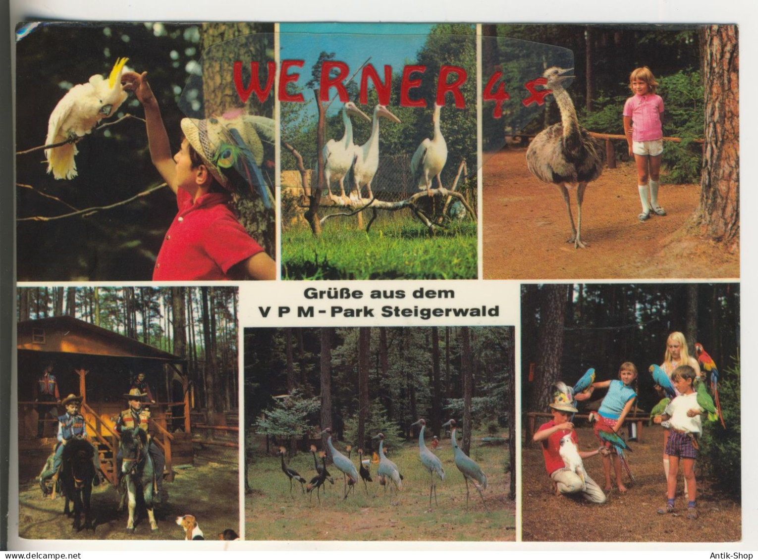 Vogel - Pony - Märchenpark Stigerwald - Geiselwind - 6 Ansichten - Von 1974 (34551) - Kitzingen