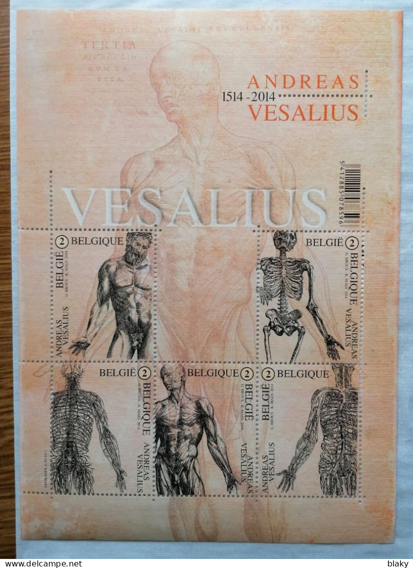 2014-1514-ANDREAS VESLIUS -19.50-14 CM-  ANATOMIE - 2011-2020