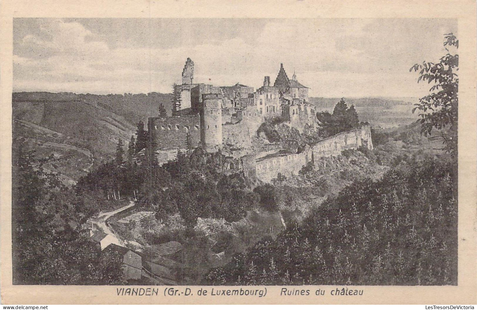 LUXEMBOURG - Vianden - Ruines Du Château - Carte Postale Ancienne - Vianden