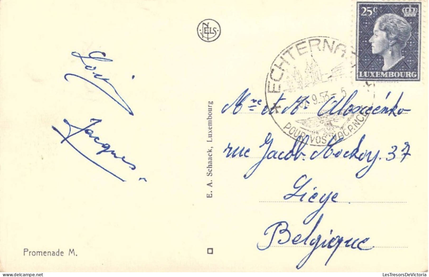 LUXEMBOURG - Petite Suisse Luxembourgeoise - Belvédère à La Kohlscheuer - Carte Postale Ancienne - Altri & Non Classificati