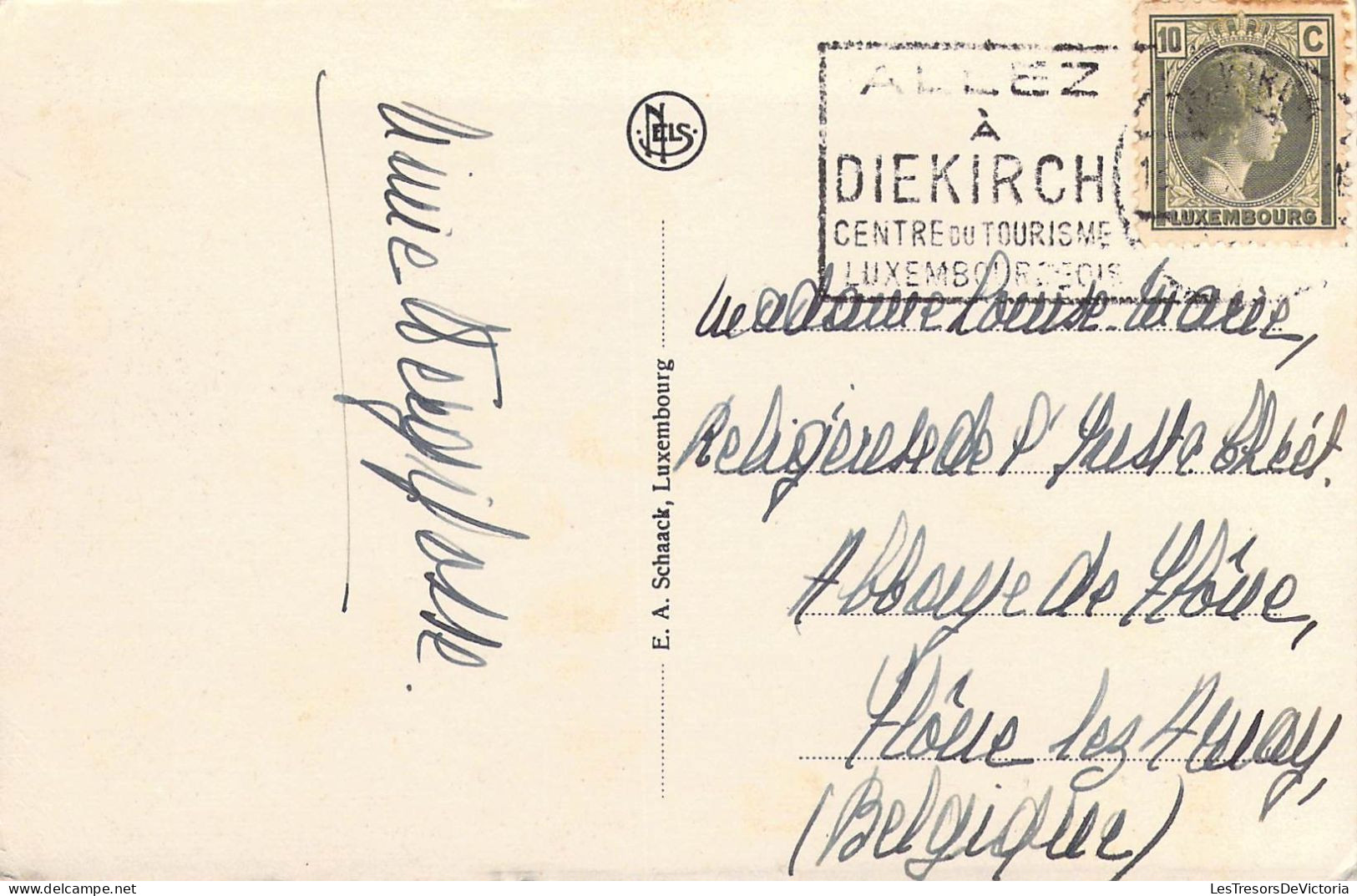 LUXEMBOURG - Petite Suisse Luxembourgeoise - Le Hallerbach - Carte Postale Ancienne - Altri & Non Classificati