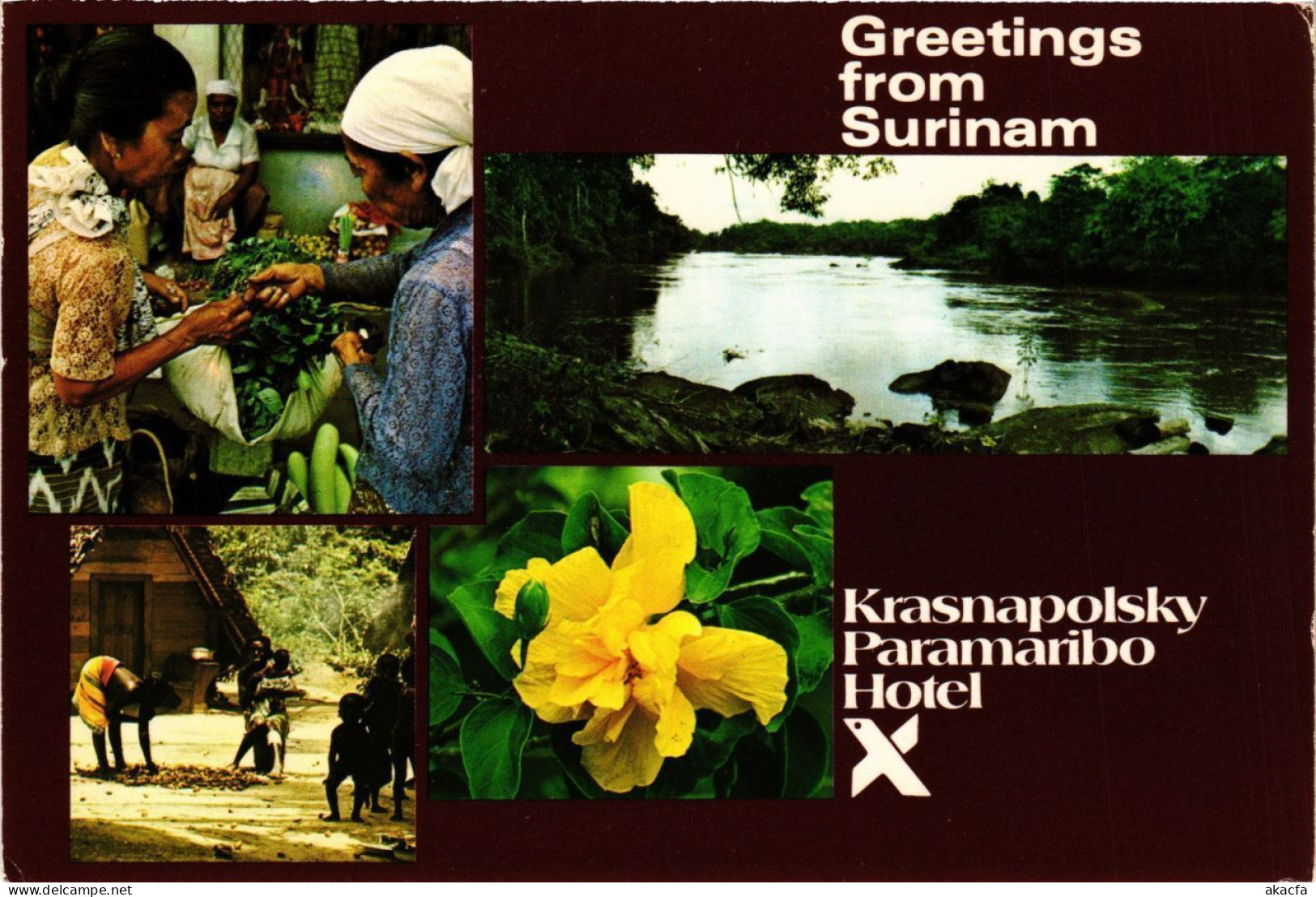 CPM SURINAME-Souvenir (330370) - Surinam