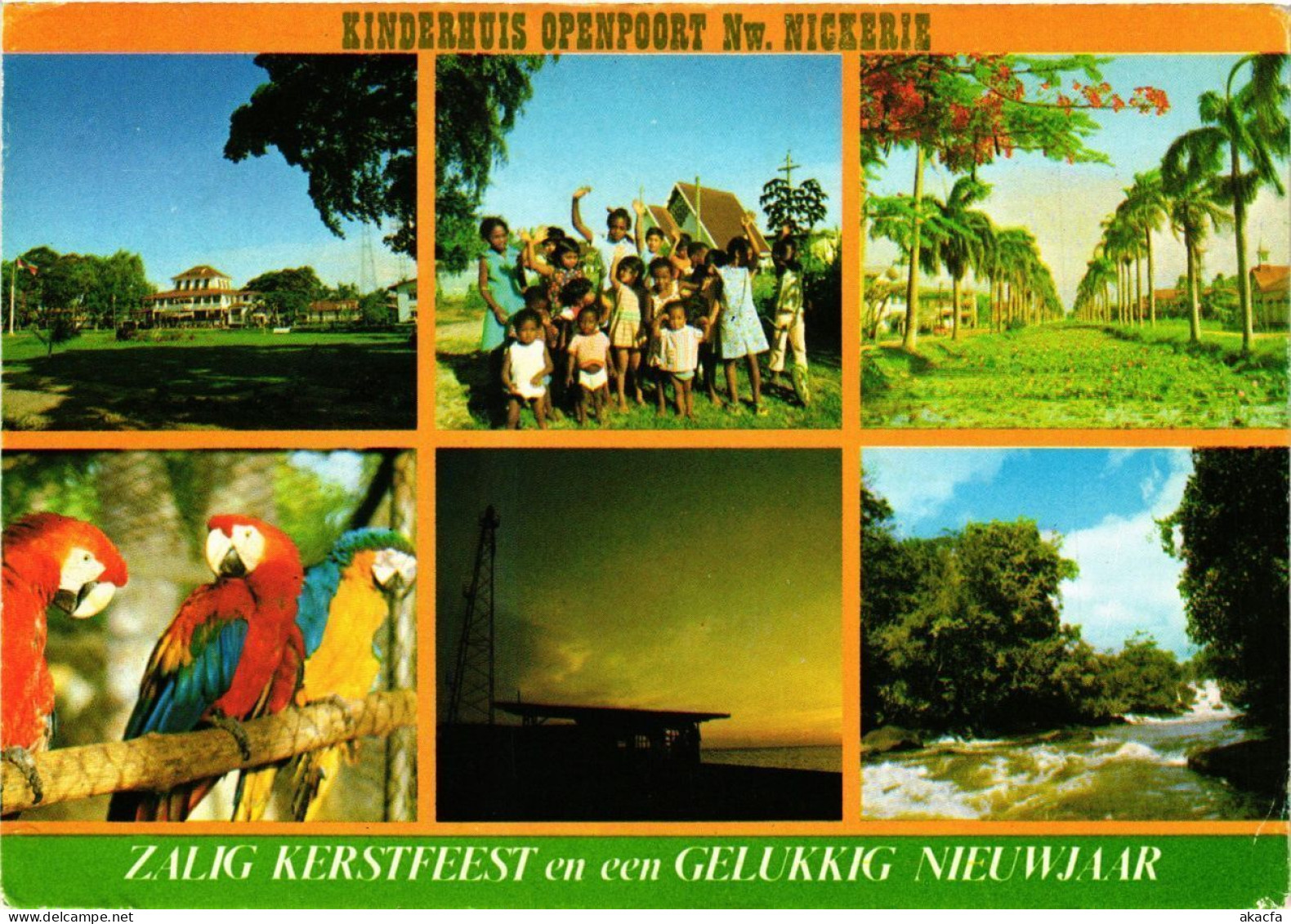 CPM SURINAME-Districkt Nickerie-Souvenir (330380) - Surinam