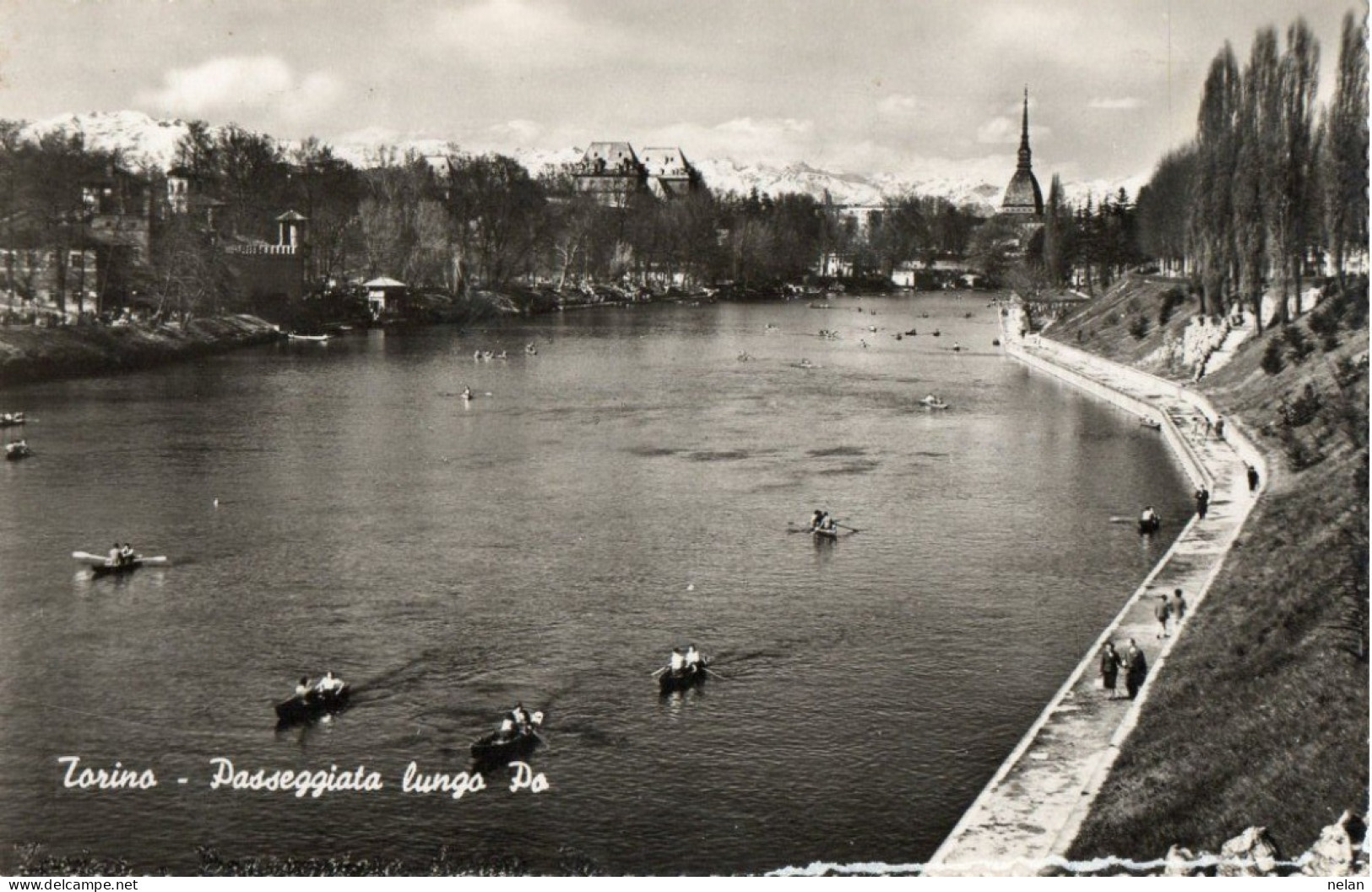 TORINO - PASSEGGIATA LUNGO PO - 1953 -  F.P. - Fiume Po