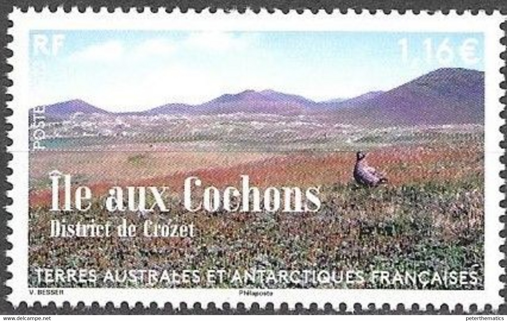 FRENCH ANTARCTIC, TAAF, 2023, MNH,ILE AUX COCHONS,1v - Andere & Zonder Classificatie