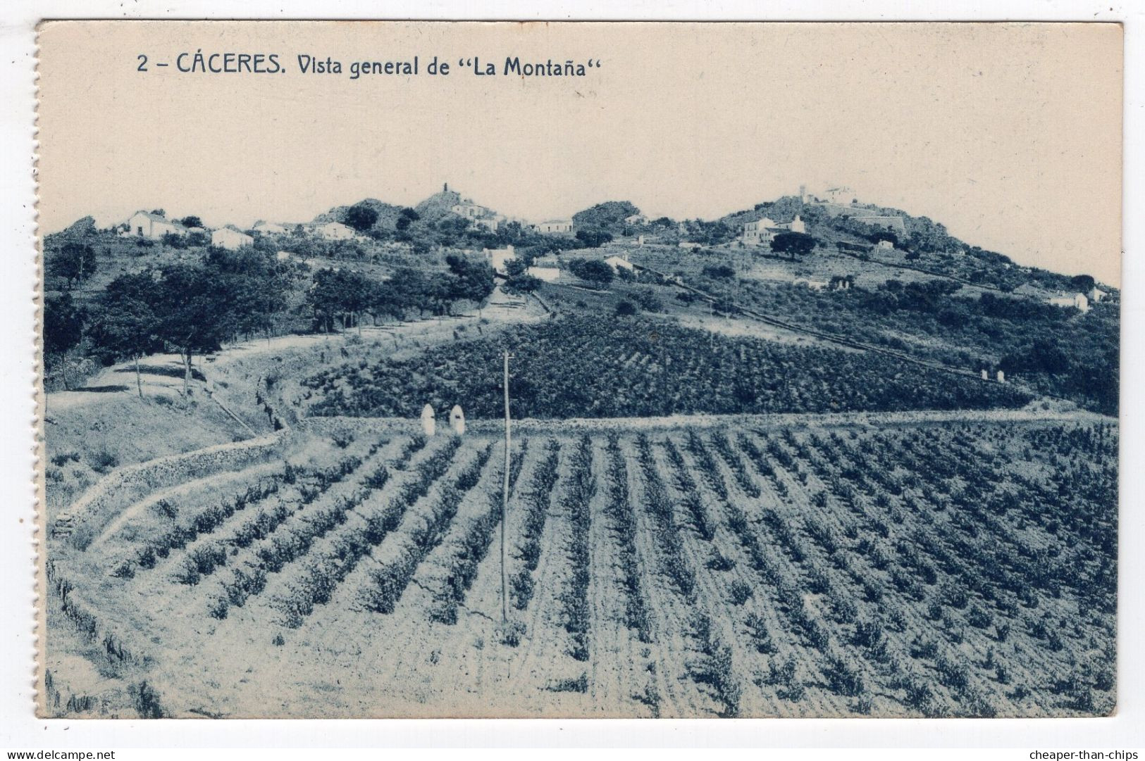 CACERES - Vista General De "La Montana" - Foto. Thomas - Cáceres